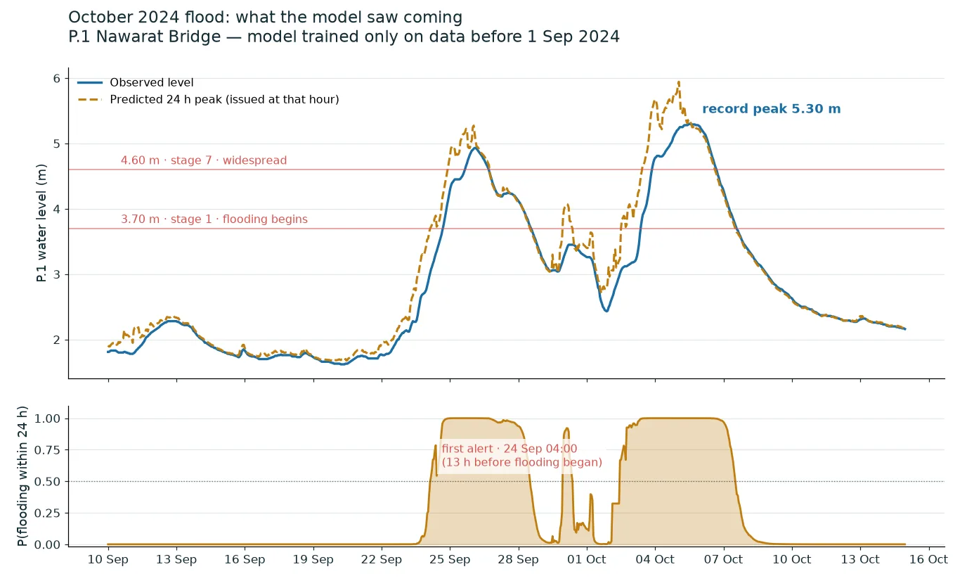 Observed P.1 level through the October 2024 flood against the model's 24 h-ahead predicted peak issued each hour, with the warning probability below; the model was trained on data ending 31 August 2024